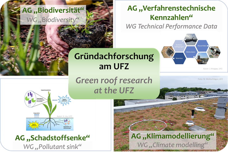 AGs der UFZ-Gründachforschung